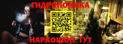 ECSTASY Гай