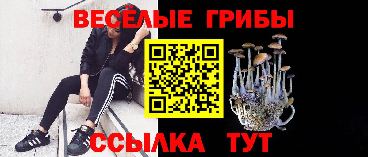 Галлюциногенные грибы GOLDEN TEACHER Великие Луки